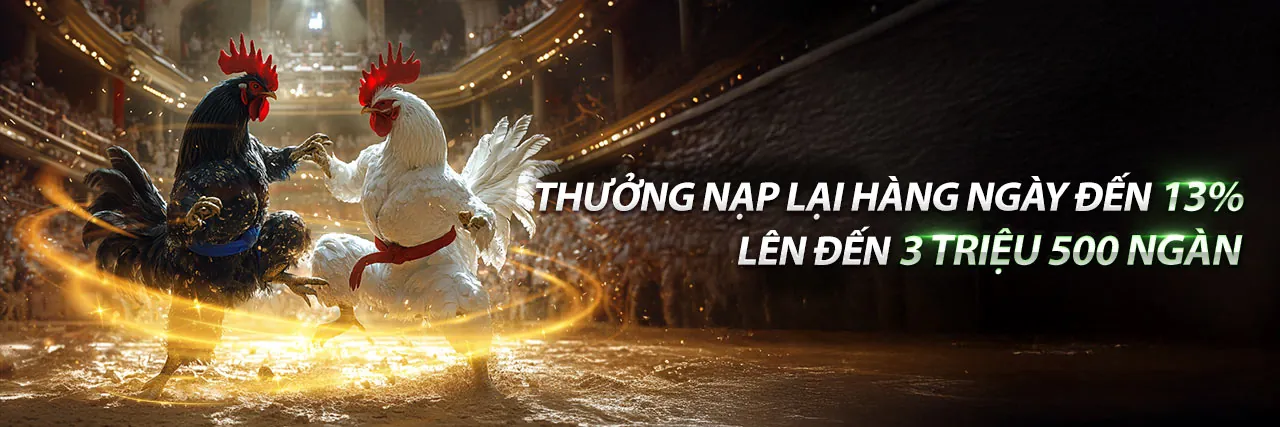 Sân vận động lớn với logo VT88, biểu tượng cá cược thể thao trực tuyến hàng đầu