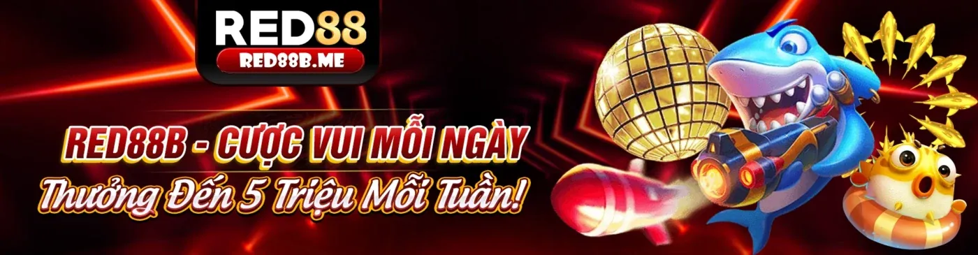 Chính sách Cookie của VT88 và bảo vệ dữ liệu người dùng