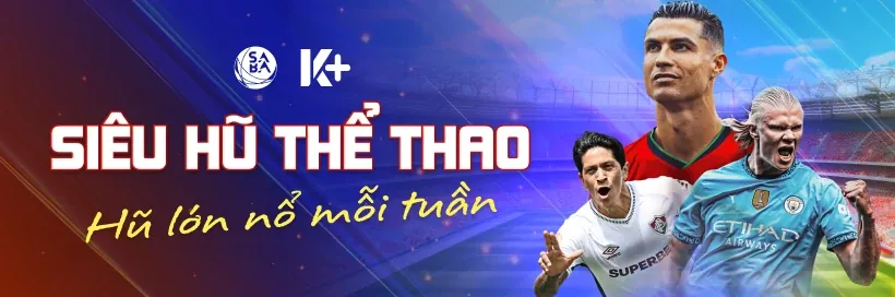 Hoàn trả hàng ngày cho sảnh đá gà
